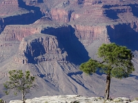 49896CrEx - Out to Hermit's Rest, Hermit's Rest Transfer, Grand Canyon   Each New Day A Miracle  [  Understanding the Bible   |   Poetry   |   Story  ]- by Pete Rhebergen